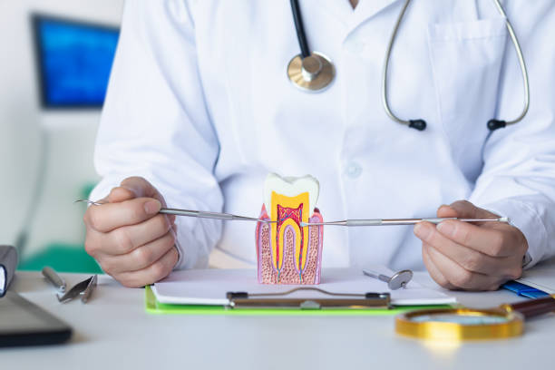 Best Emergency Treatment for Dental Infections or Abscesses in Southmayd, TX
